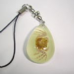 lighting artificial amber mobile phone strap with real insect YA03